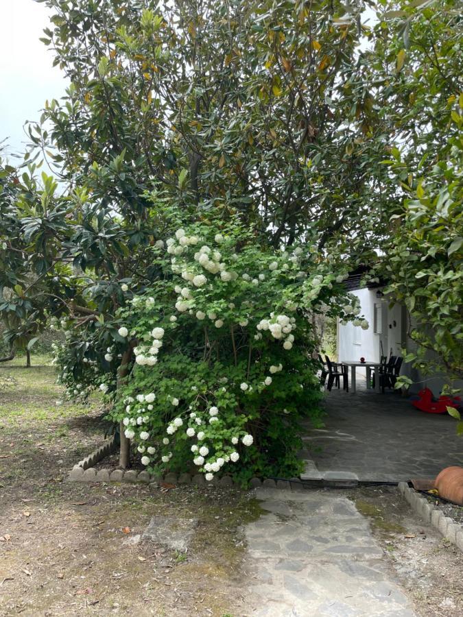 Irinis Cottage Kala Nera Bagian luar foto
